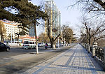 冬日江城02