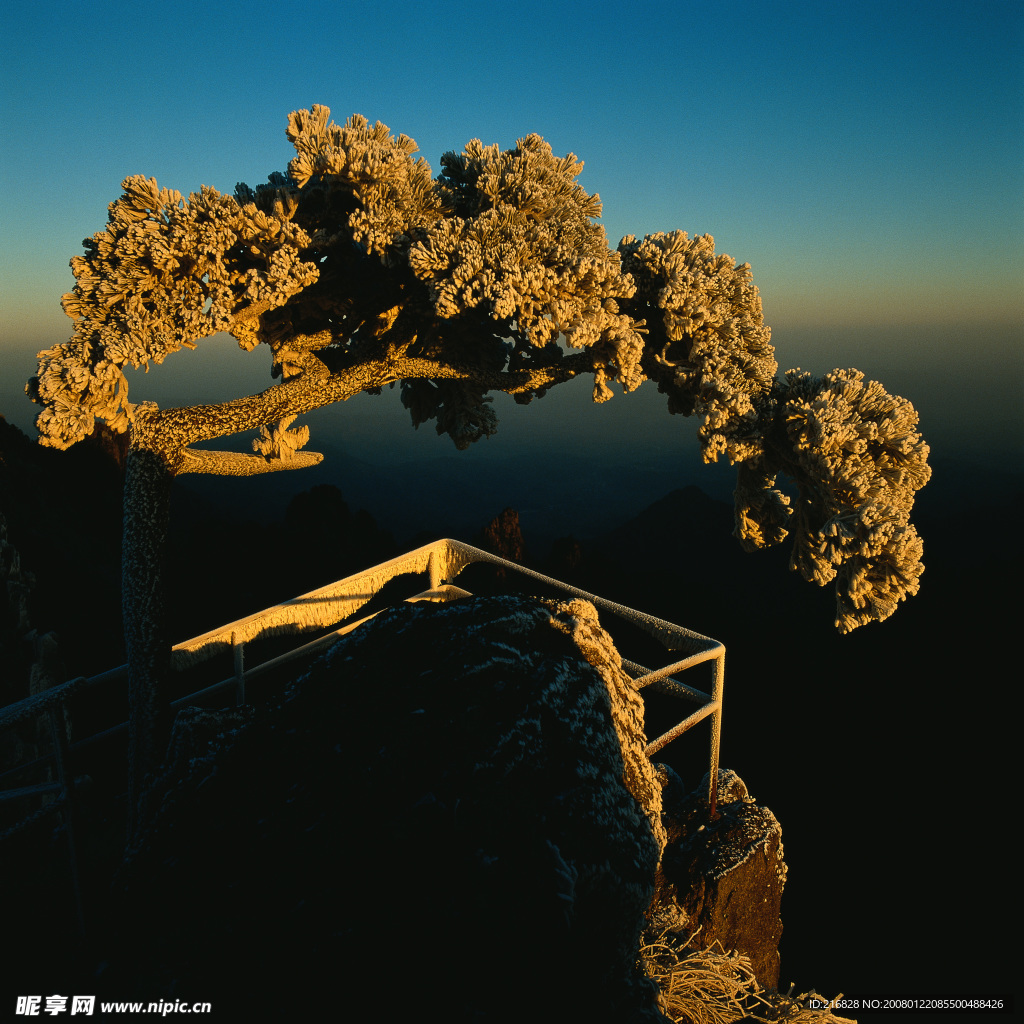 山川素材