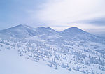 冬天雪景