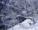 冬天雪景