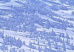 冬天雪景