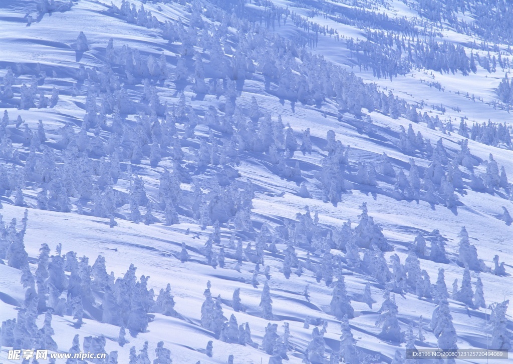 冬天雪景