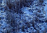 冬天雪景