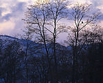 冬天雪景