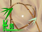 长青