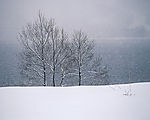 冬天雪景