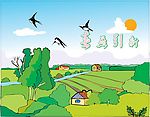春天的田野