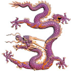 龙 专集11