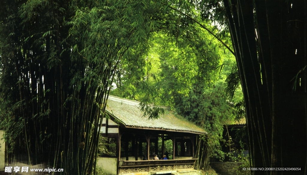 四川省杜甫草堂  竹园  毛竹屋