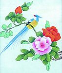 花鸟
