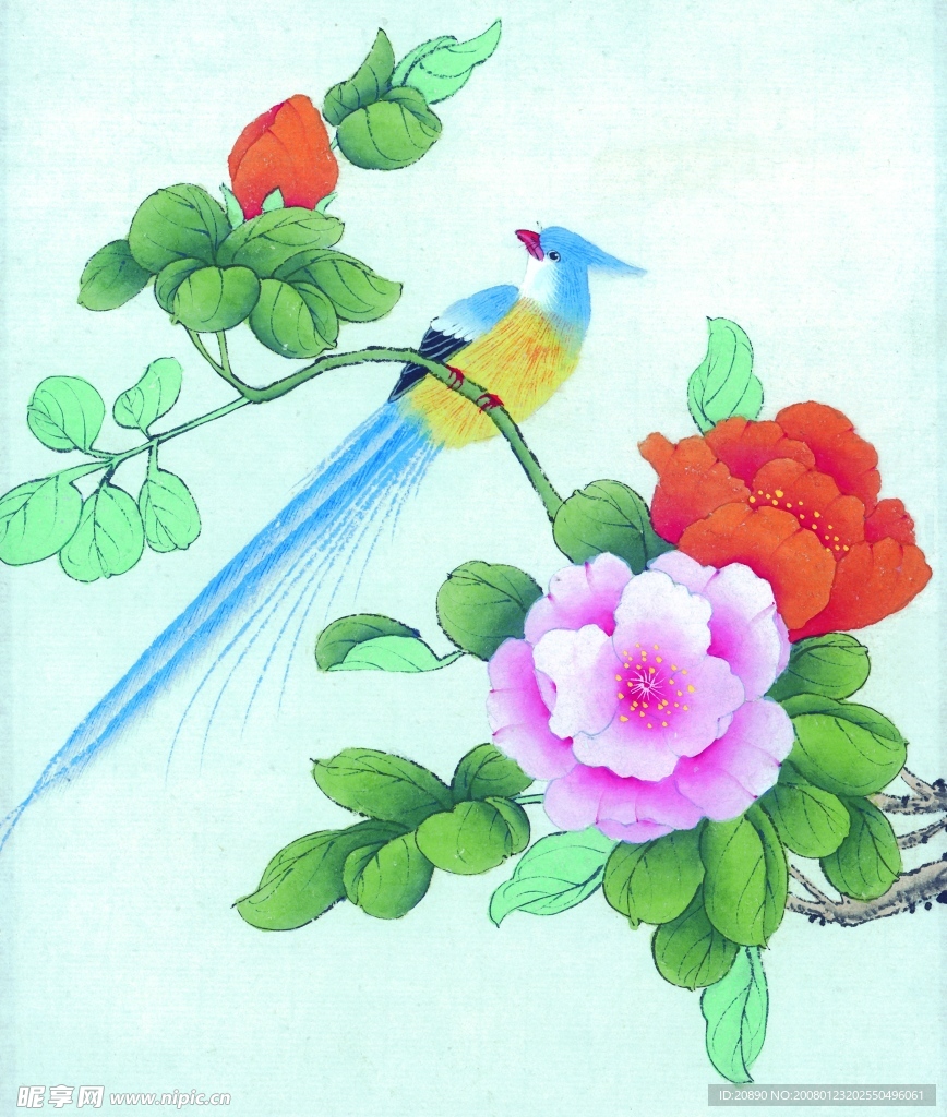 花鸟