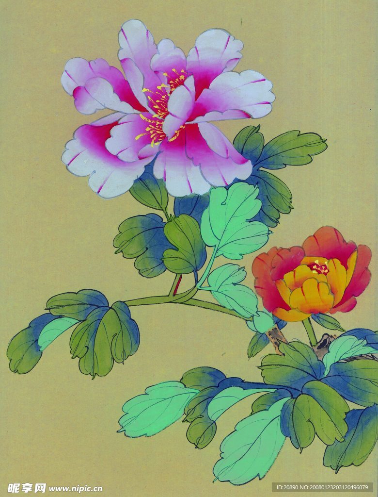 花鸟