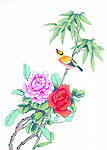 花鸟