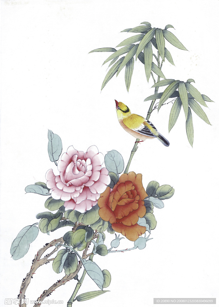 花鸟