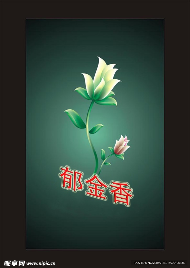 郁金香