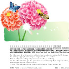 花蕾