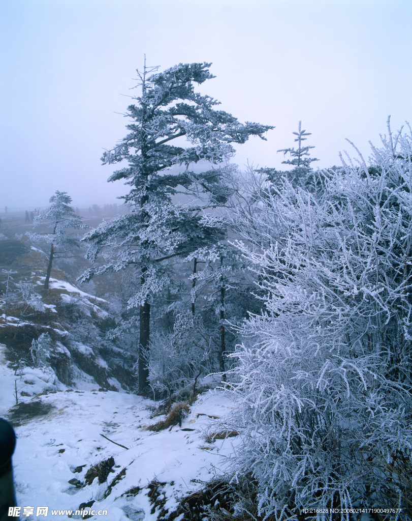 山川素材