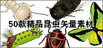 50款精美昆虫