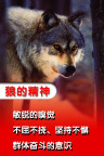 企业精神