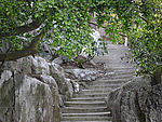 山路一角