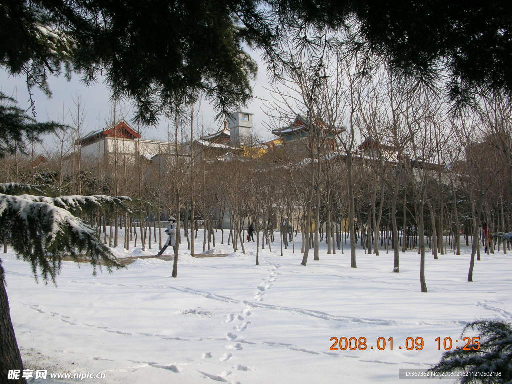 雪景