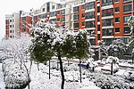 雪景