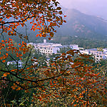 山川素材,枫叶,红叶素材