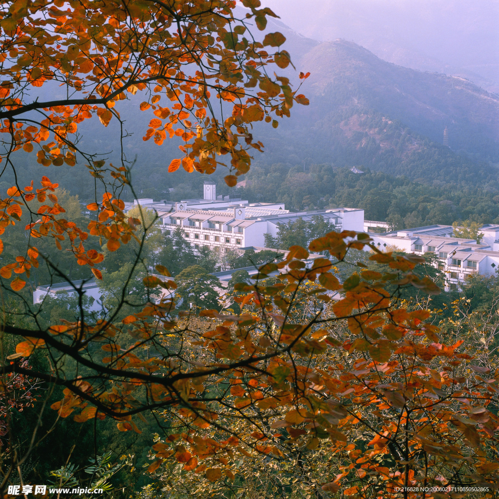山川素材,枫叶,红叶素材