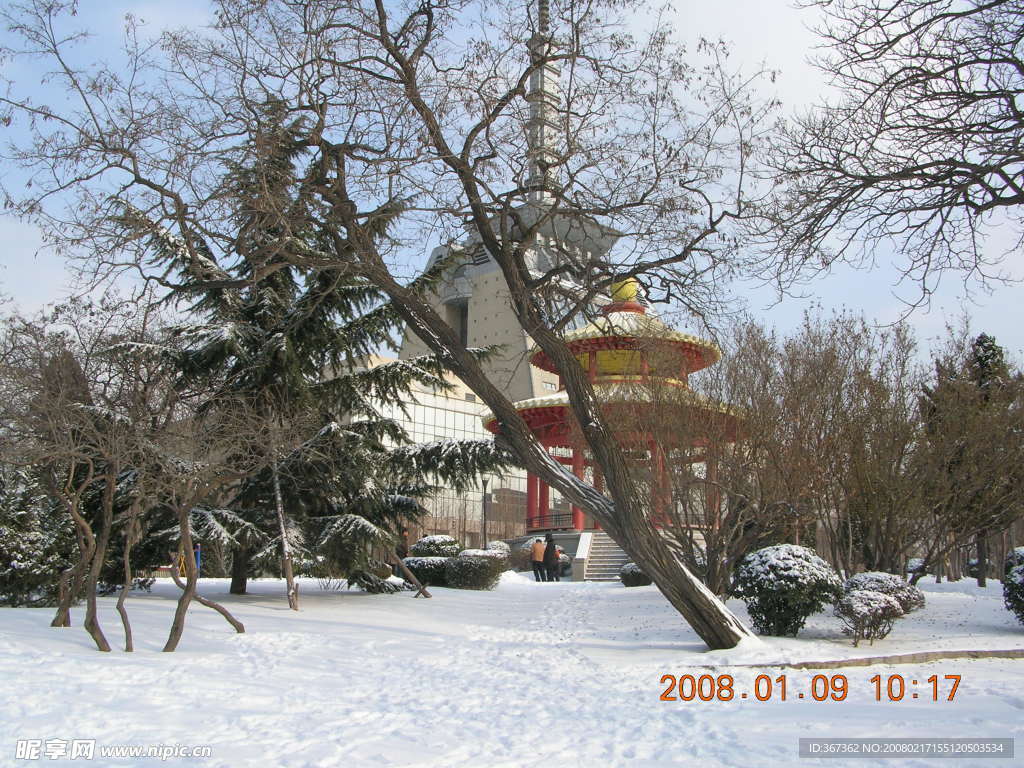 雪景