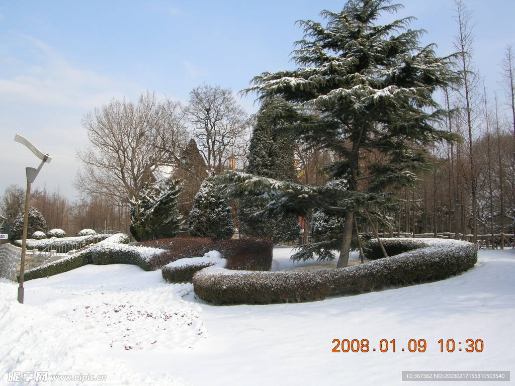 雪景