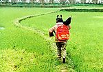 民间风情