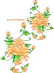 花失量图
