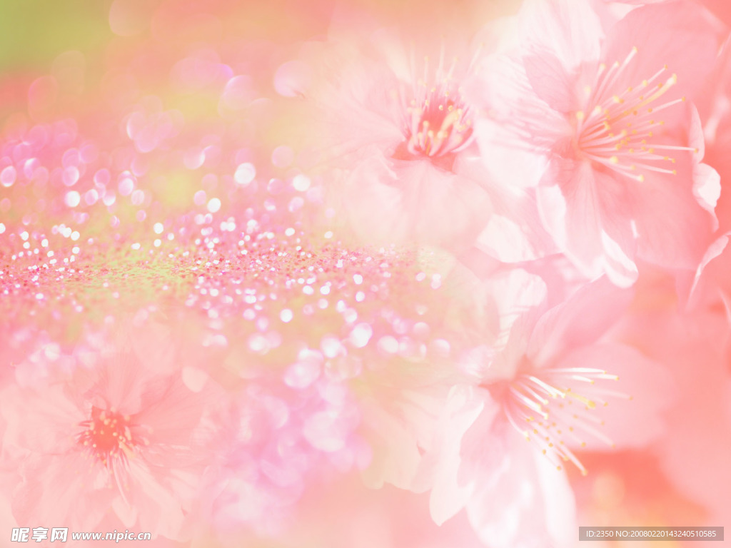 梦幻花