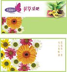花茶名片