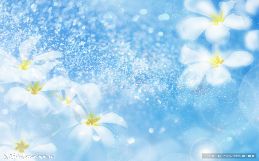 花边花纹