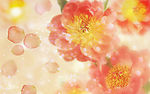 花边花纹