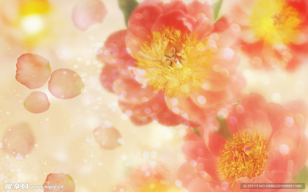 花边花纹