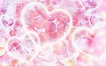 花边花纹