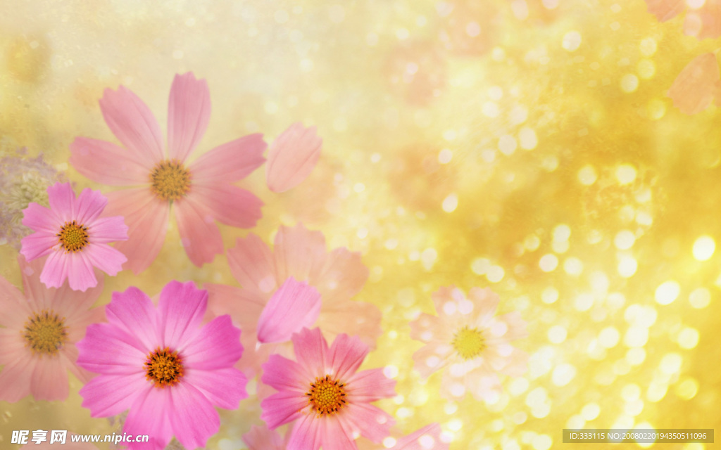 花边花纹