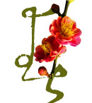 三月桃花