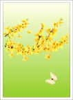 花纹花边
