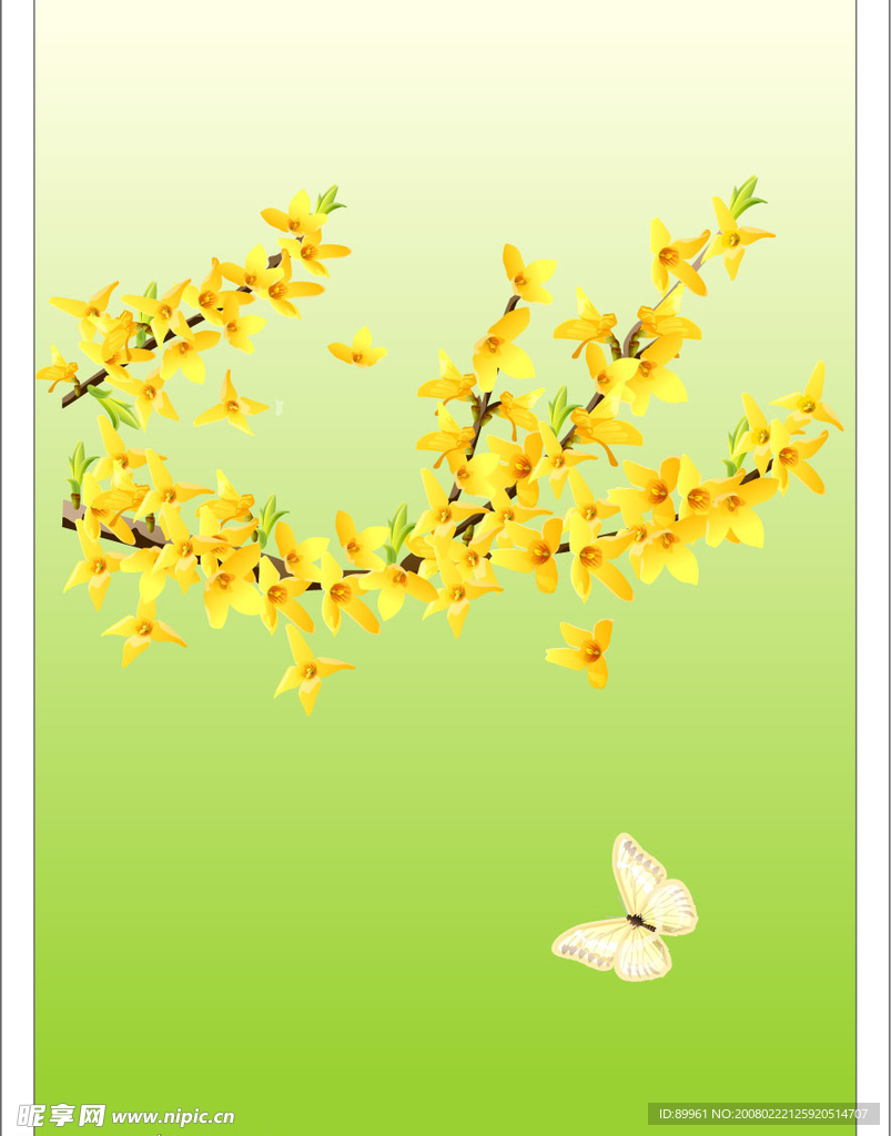 花纹花边