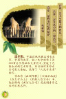 音乐