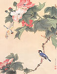 芙蓉小鸟