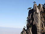 黄山自然景观 - 自然风景