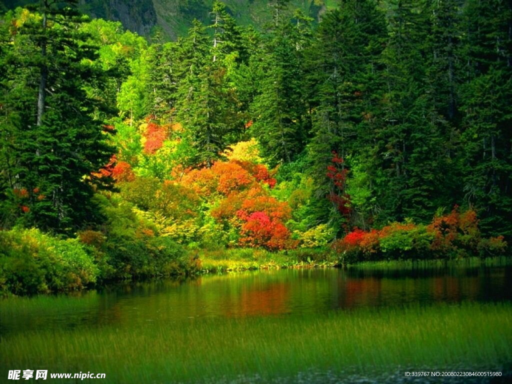 青山綠水
