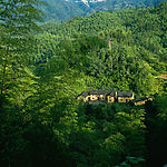 山川素材,森林