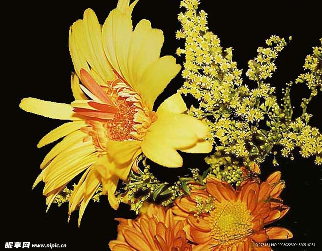 花卉