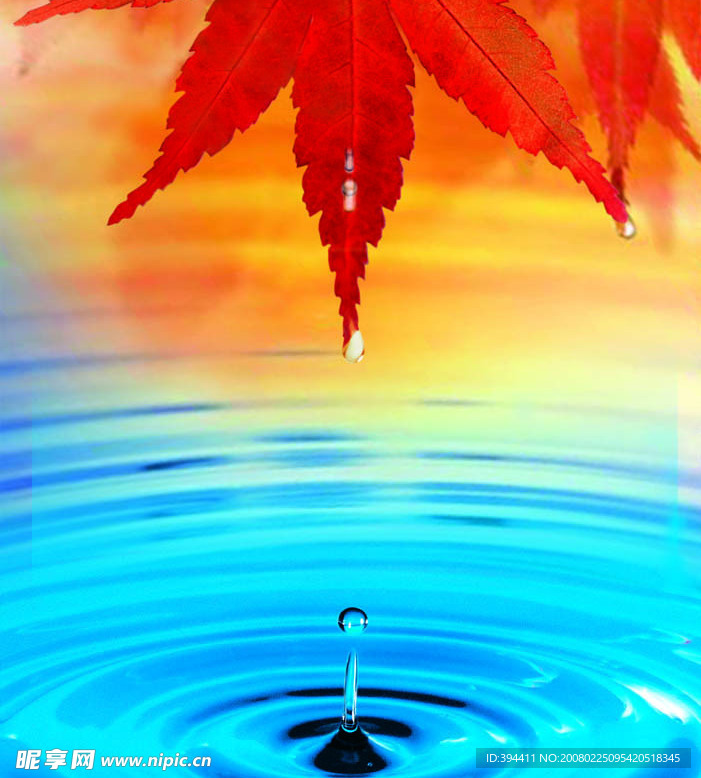 水滴