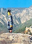 风情人物